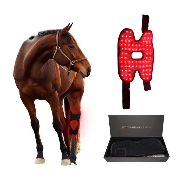 Infrarot-Pad Pferd – 660nm & 850nm – Kabellos, Schmerzlinderung Gelenke/Bein - Größe: 37cm x 31cm