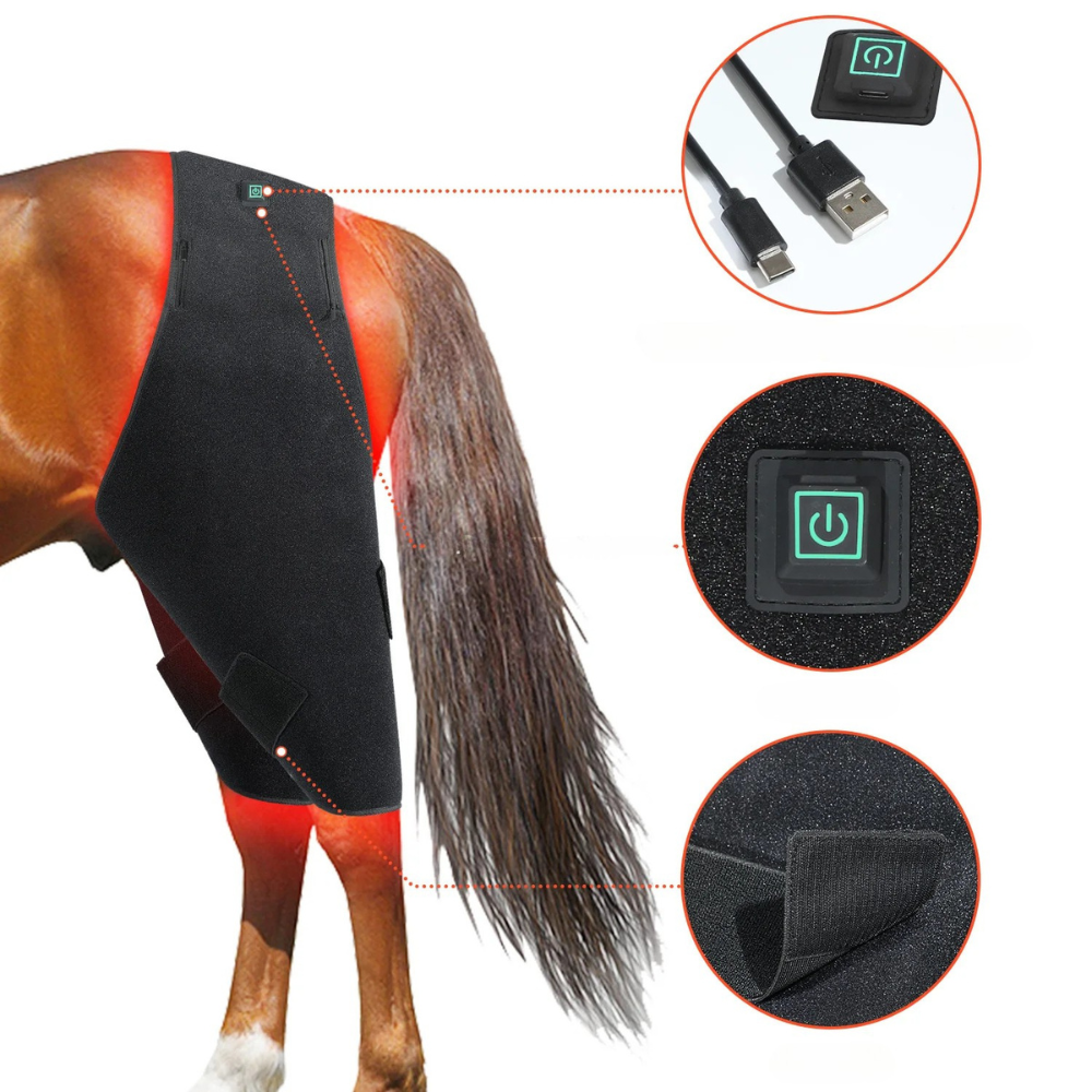 Infrarot-Decke Pferd – 660nm & 850nm – Kabellos, Puls Bauch/Rücken – Größe: 215cm x 119,5cm