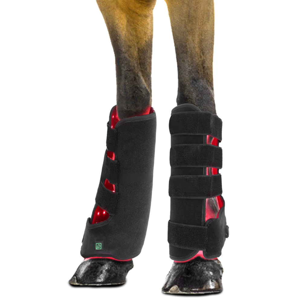 Rotlichttherapie Pferd Gamasche im Detail