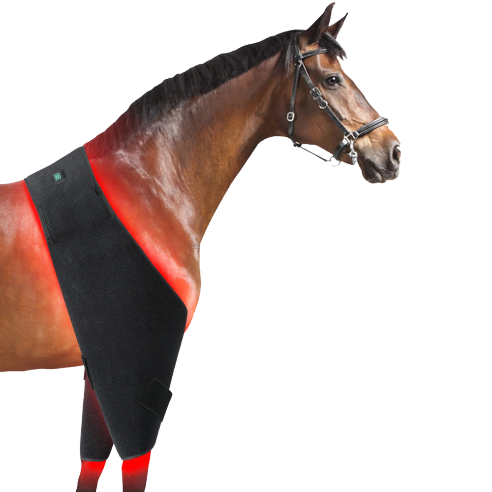 Infrarot-Decke Pferd – 660nm & 850nm – Kabellos, Puls Bauch/Rücken – Größe: 215cm x 119,5cm