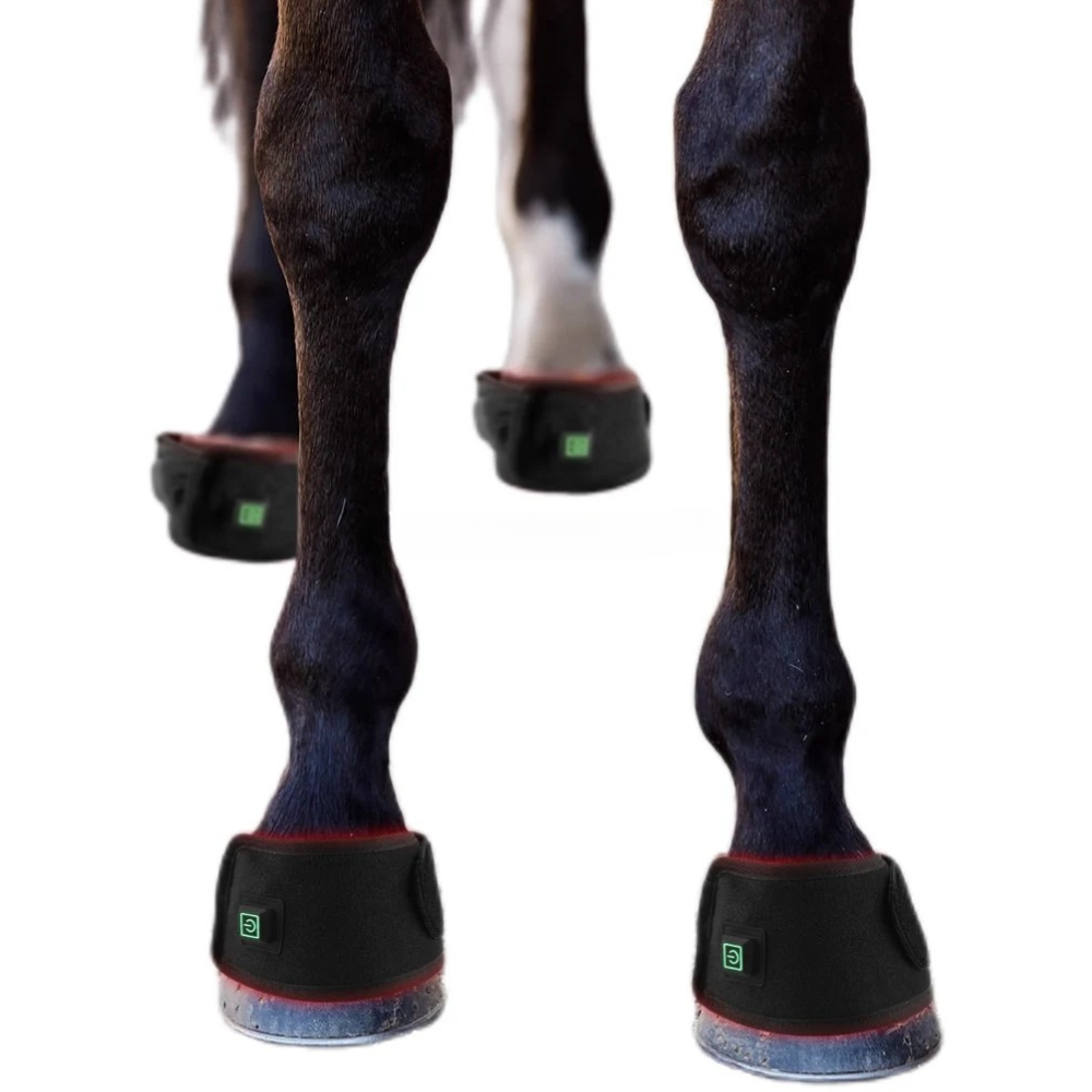 Cavallo Vero Hufglocke am Pferd