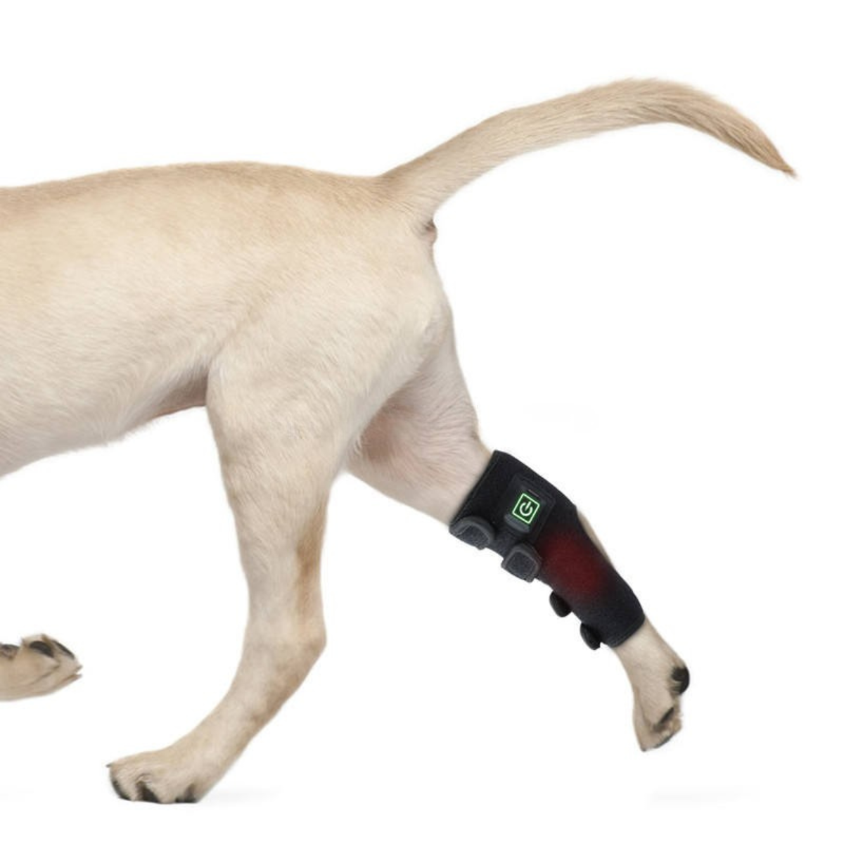 Rotlichttherapie Infrarotgürtel für Hunde & Haustiere – 660/850 nm LED bei Gelenk-, Muskel- & Arthritisschmerzen