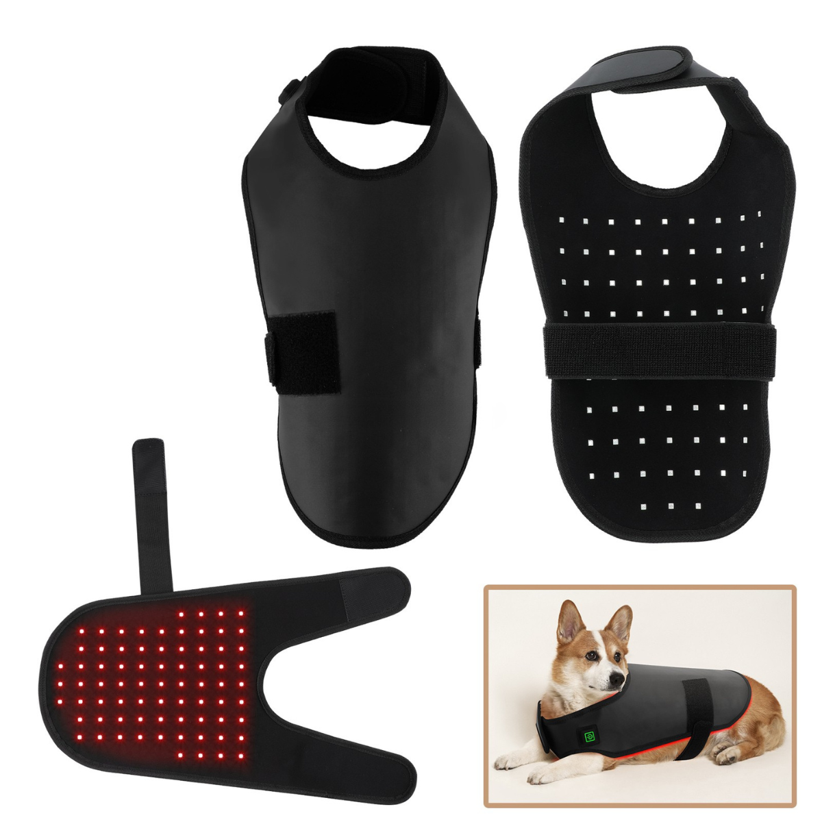 Infrarot-Lichttherapie für Hunde – Rückengesundheit, Muskeln & Gelenke
