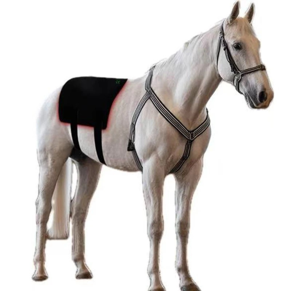 Infrarot-Gürtel Pferd – 660nm & 850nm – Kabellos, Rücken – Größe: 90cm x 70cm