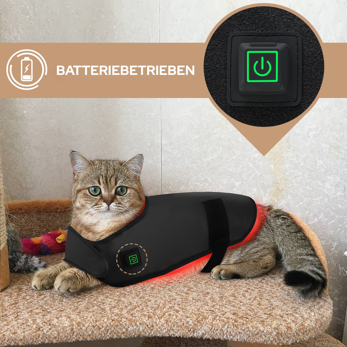Infrarot-Lichttherapie für Hunde – Rückengesundheit, Muskeln & Gelenke